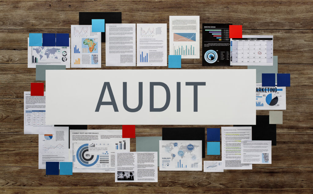 Tax Audit