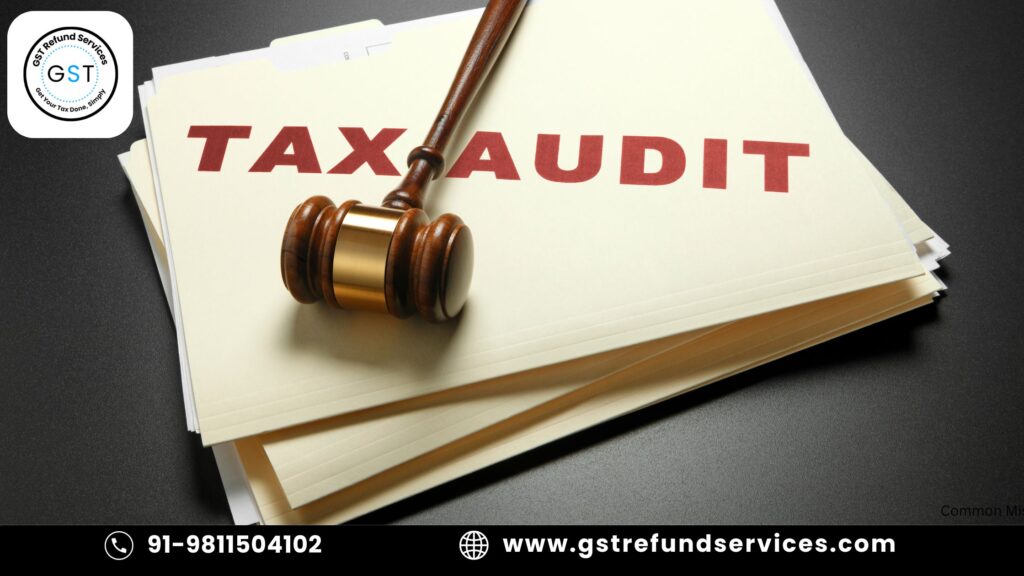 Tax audit